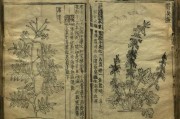 救荒本草是(救荒本草是什么代朱编纂的一部)