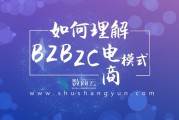 b2c电商平台系统(b2c有哪些电商平台)