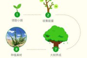 蚂蚁森林种树有什么用(蚂蚁森林种树有什么用 知乎)