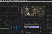 premiere视频制作教程(视频制作和剪辑教程)