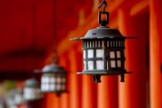 七情六欲什么意思(女人说七情六欲什么意思)