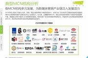 电商平台营销策略(电商平台营销策略分析论文)