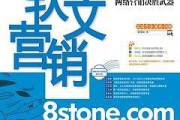网络软文营销(网络软文营销)