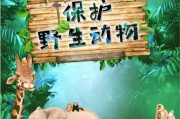保护动物宣传视频(保护动物的宣传视频 下载)