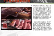 食品安全案例(校园食品安全案例)