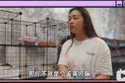 黄色短视频下载(短视频软件大全下载排行)