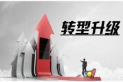 电商 销售额
:做了一个电商网站，但是销售额却没有增加，是什么原因？