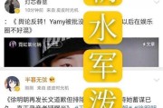 水军什么意思(水兵什么意思)