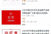 小红书内容营销(小红书营销模式)