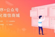 微商城怎么推广(自己的微商城怎么推广)