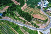 农村致富路(农村致富经)