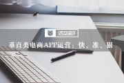 垂直电商(垂直电商平台是什么意思)