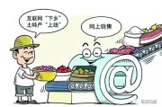 农村电商(农村电商创新创业项目计划书)