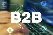 电商b2b是什么意思(b2b电商平台是什么意思)