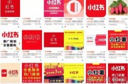 小红书如何推广一个产品(小红书如何接推广)