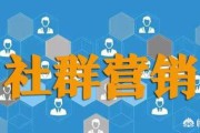 什么叫社群电商(社交电商是什么)