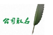 电商公司名称怎么起名(电商公司名称怎么起名,海南)