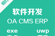 苹果软件开发(安卓软件开发)