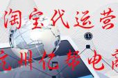 电商外包公司(上海电商软件外包公司)