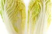 菜类(菜类有哪些种类)