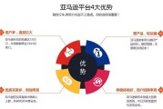 亚马逊跨境电商运营(亚马逊跨境电商运营从入门到精通)