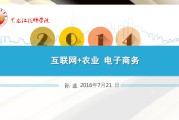 十大农业电商(农产品电商行业)