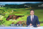 焦点访谈电商(焦点访谈连锁经营)