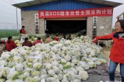 农村电商概念
:农村电商正在为农村带来哪些新变化？最好能举例说明有哪些？