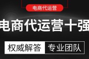电商十大代运营(代运营电商公司排行)