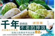 诺丽果汁功效(诺丽果汁原液功效)