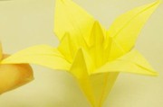 百合花的制作方法视频(手工丝网花百合花的制作方法)
