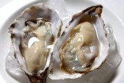 生蚝的作用(生蚝的作用和功效)