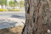 同城电商平台
:现在电商平台红火的年代，做同城电商有没有出路？