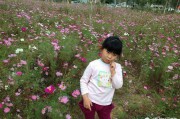 合肥电商产业园
:合肥周边有哪些花海？