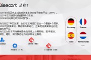 欧洲跨境电商平台(2020欧洲跨境电商平台)
