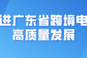 广东跨境电商(广东跨境电商平台有哪些)