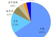 各大电商平台的对比(六大电商平台的对比与选择)