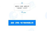 济南电商公司(山东济南电商公司)