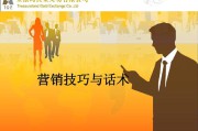 营销技巧方案(营销方案计划书写技巧)