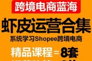 新加坡虾皮电商(新加坡虾皮电商公司仓库工待遇怎么样)