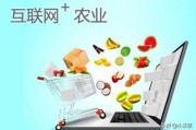 十大农业电商
:什么是新农业电商？你如何理解的？