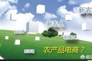 生鲜电商概念股
:生鲜电商的出路到底在哪？