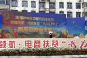领航电商是正规的吗(领航国际是正规公司吗)