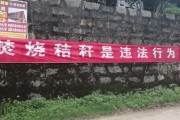秸秆禁烧宣传视频(禁烧秸秆宣传内容)