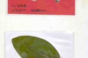 标本制作视频教程(鸟类标本制作视频教程)