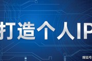 什么是个人ip(什么是个人所得税)