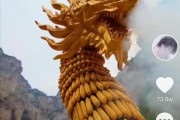 河南有个拍短视频的叫什么(河南有个拍短视频的叫什么姑嫂)