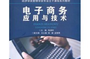 电商技术(电商技术风险)