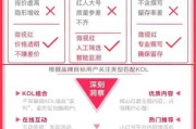 小红书品牌推广策划方案(城市品牌推广策划方案)