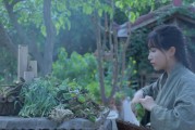 李子柒短视频分析(李子柒视频视听语言分析)